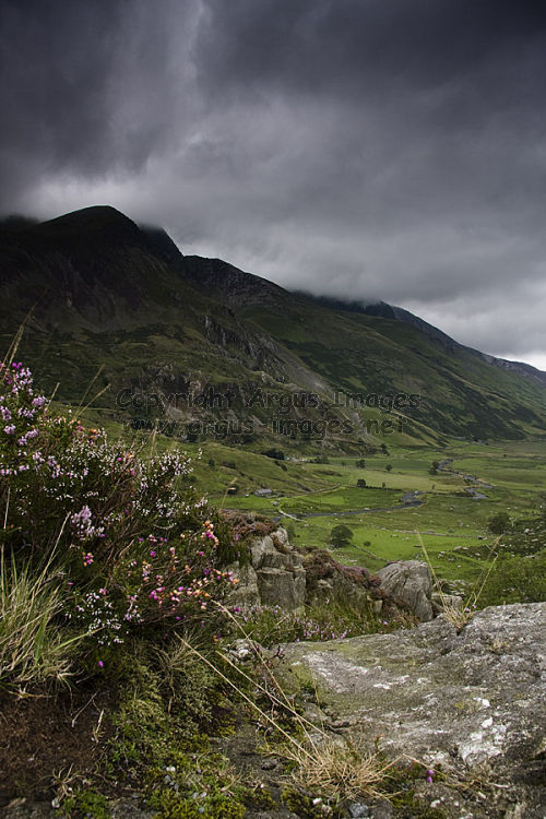 Welsh Mountain Valley